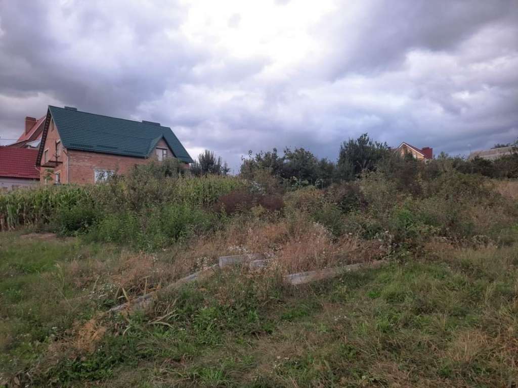 land for sale  Kolybayivka