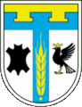 címer Tysmenytsya terület

