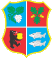 címer Beregovo terület
