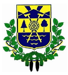 coat of arms Vyzhnytsya