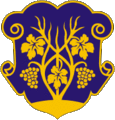 coat of arms Uzhgorod